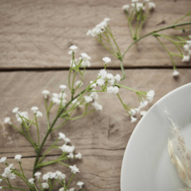 Witte gipskruid bloemenslinger - Ginger Ray Botanical Wedding