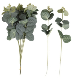 Decoratieve eucalyptustakjes (10st) - Botanical wedding
