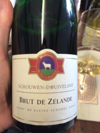 de kleine schorre, brut de Zelande