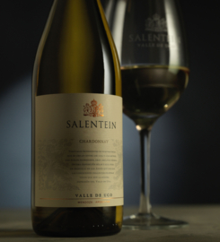 Salentein Chardonnay barrel Select