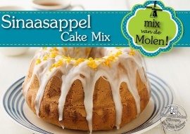 Sinaasappel Cake mix 425 gram