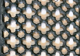 S 75 ,  28 x 65 cm