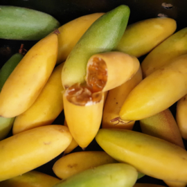 Curuba / banana passionfruit / tasco / tumbo /  Colombia /  300gr (ca 3-5 stuks)