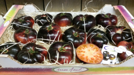 Antociano Tomaten | zwarte Marmande tomaten | Spanje- Granada | doos 3 kilo
