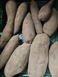 Appelwortel / Yacon / per 500gram