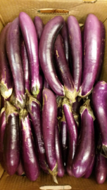 AUBERGINE LANG | CHINESE AUBERGINE LONG | SLANG AUBERGINE | Spanje | 500gram (ca 3-4stuks)