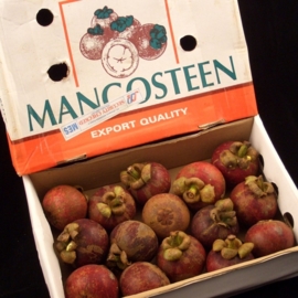 Mangistan / Mangosteen/ Indonesie / Doosje 2 Kilo