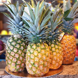 Vliegtuig ananas / natuurrijp geoogst  / Kenia /  1 stuks (ca 1200 gram) )