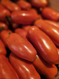 San Marzano tomaten - Italie |  750gram