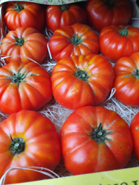 Marmande tomaten  | tomaat  |Frankrijk | 500gram (ca 3-5 stuks)