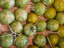 TOMATEN ZEBRA GROEN | STRIPED | FRANKRIJK | 500GRAM