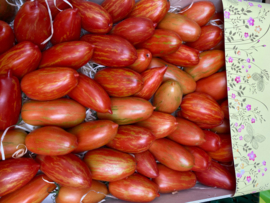 ROMA CHERRY TOMATEN  | EXTRA SMAAKVOL | SPANJE | 300GRAM