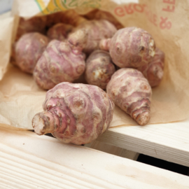 TOPINAMBOUR | AARDPEER | AARDPEREN | JERUSALEM ARTISJOK |  FRANKRIJK | 1 KILO