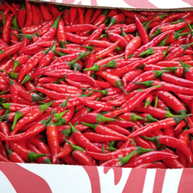 Rawit rood / kleine pepertjes / mini pepers / extra  heet / Kenia / doos 2 kilo