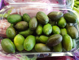 Fingerlime | Lime kaviaar | Marokko / Fingerlime / citrus kaviaar / Kleur: pale-green/ 5 stuks