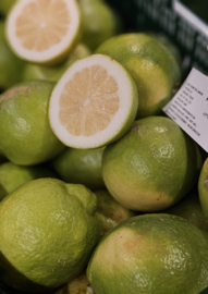CITROENEN VERDELLO | LIMONCELLO CITROENEN | ONBEHANDELD - *SICILIE-SIRACUSA | MAAT XL - GROEN | 1 KILO (ca 4-5 STUKS)