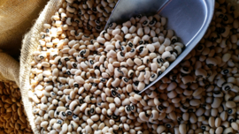 Black Eye Beans (peas) / U.S.A. / Cow beans / Oogstjaar 2023 / 0,5 kilo