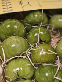 TOMATEN ZEBRA GROEN | STRIPED | FRANKRIJK | 500GRAM