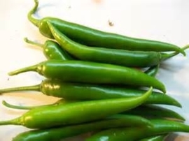 PEPERS GROEN FIJN | SPAANSE GROENE PEPERS | NL |  3 KG