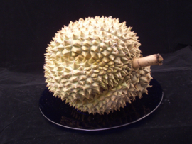 Doerian Mon thong / Morn Thong verse durian / Topkwaliteit en rijp geplukt - Thailand/Indonesie - permacultuur  | 1 stuks ( ca 2kg kilo, € 41,50 per kg)  / Bestellen voor wo 28 februari 16uur - levering vanaf  do 08 maart