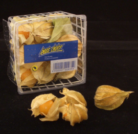 Physalis | Kaapse goudbes | Goldenberry | Poha | Incabes / Colombia / doos 12x 100gram (1,2 kg)