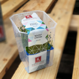 Rockchives  | Koppert Cress - NL | 1 stuks