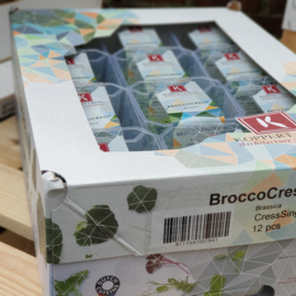 Brocco cress | Koppert Cress - NL | 12 stuks