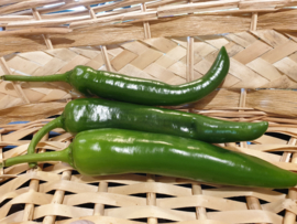 PEPERS GROEN | Spaanse groene peper / SPANJE |  250GR