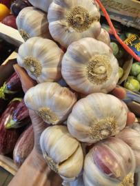 Roze Lautrec knoflook - Frankrijk | Oogst 2026 / per tros (ca 1 kilo)