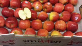 SMITTEN APPEL | ZOET-ZUUR | NIEUW-ZEELAND | 1 KILO