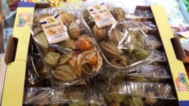 Physalis | Kaapse goudbes | Goldenberry | Poha | Incabes /  Colombia / bakje 100gram