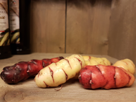 Oca de Peru | Rood - klein |  Klaverzuring | Oxales | Frankrijk/ 250gram