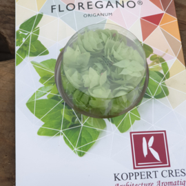 Floregano | Wit-Lichtgroen | Koppert cress | NL |2 bakjes (2x20 stuks)