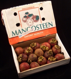 Mangistan / Mangosteen | Indonesie /  500gr (3-5 stuks, afhankelijk van de grootte)