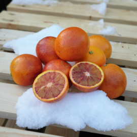 BLOEDSINAASAPPEL / VRUCHTVLEES DONKERROOD / ONBEHANDELD - ITALIE / 1KG (ca 8 stuks) / VANAF DECEMBER T/M FEBRUARI