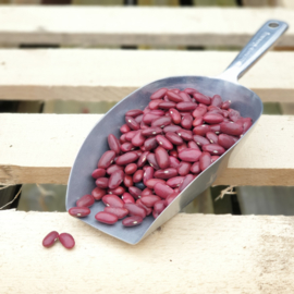 Kidneybeans red / Haricots rouge / Rode nierbonen / *Frankrijk / Oogstjaar 2023 / 0,5 kilo