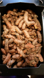 Kurkuma / Geelwortel / Kurkumin / Curcuma /Turmeric / Koenjit /  Vers / *Peru / 250gram