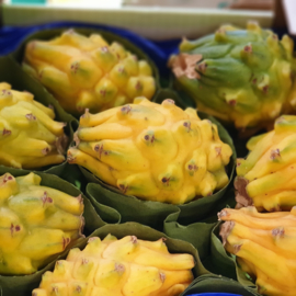 Pitahaya / Pitahaya | Wit vruchtvlees met gele schil / Zoet  / Colombia / doos 2 kilo (ca 8-10 stuks)