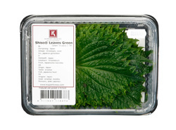 Shiso leaves  groen  | Koppert cress - NL | 12x15 stuks