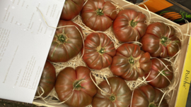 NOIR CRIMEE TOMATEN | FRANKRIJK | 500gram ( ca 2-3 stuks)