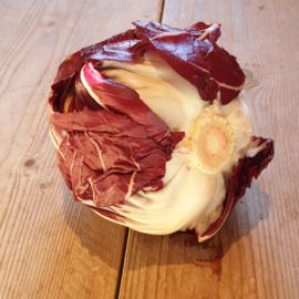 Radicchio Rosso Tondo | Chioggia | Veneto Italie /  1 stuks (XL)