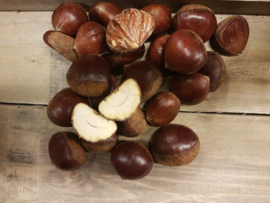 Kastanjes / castagne / Tamme kastanjes/ pofkastanjes , maat 36+/ Frankrijk / ca. 5kg