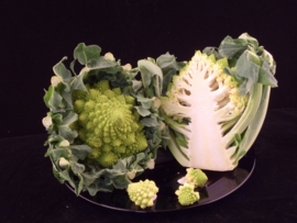 ROMANESCO GROEN | FRACTOLI BLOEMKOOL | ITALIE | 1ST (GROOT)