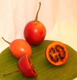 TAMARILLO / BOOMTOMAAT /COLOMBIA | 10-12 STUKS ( 1,2KG)