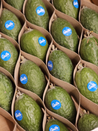 Feijoa | Ananas guave  | 500gram