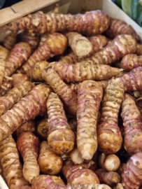 TOPINAMBOUR | AARDPEER | AARDPEREN | JERUSALEM ARTISJOK |  FRANKRIJK | 1 KILO