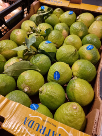 Bergamot | Bergamotto | Onbehandeld | Amalfi-Italie  | 1 KILO (ca 4-5 stuks ) / Uitverkocht - seizoen voorbij