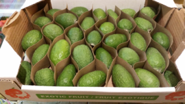 Feijoa / Fejioa / Feyoa | Ananasguave / Guavasteen /  Colombia / 2kg (ca 20-30 stuks)