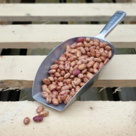 Borlotti bonen, standaard / Italië /Oogstjaar 2024 / 0,5 kilo