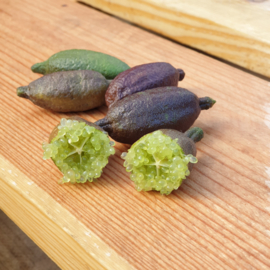 Fingerlime | Lime kaviaar | Marokko / Fingerlimes / citrus kaviaar / Kleur: pale-green/ 5 stuks